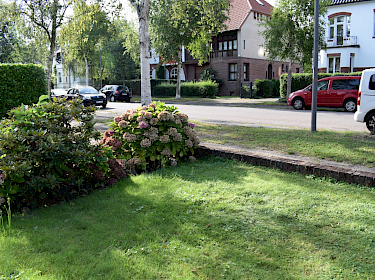 Bild nicht vorhanden